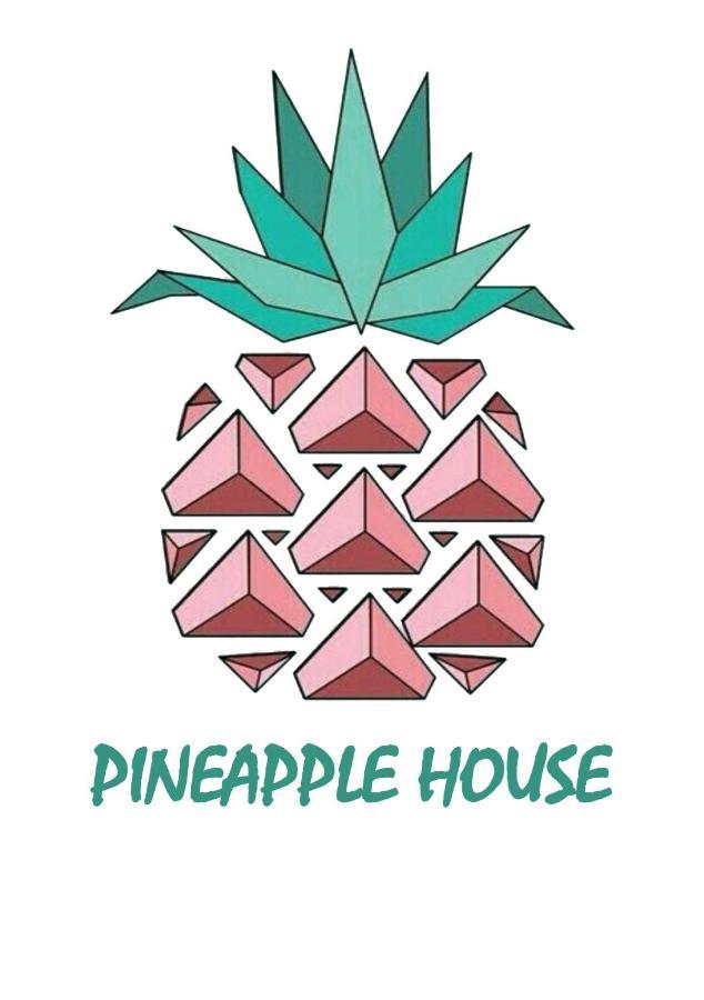 Pineapple House * Nungwi